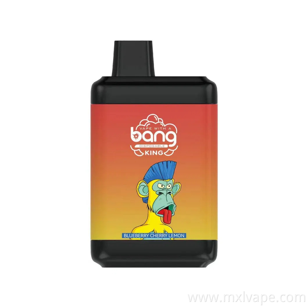 8000 Puffs Rechargeable 16ml Bang King for USA Disposable E-Cigarette Vaporizer